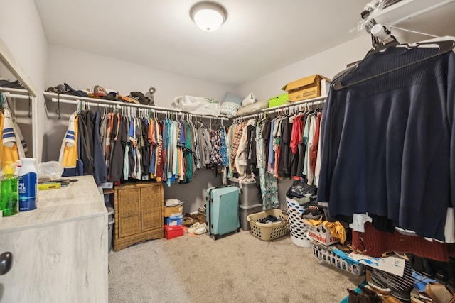 855 Sneed Blvd, Lafayette, TN 37083 - spacious closet with carpet
