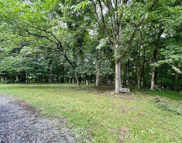 2311 Center Point Rd, Hendersonville, TN 37075 - view of yard featuring a forest view