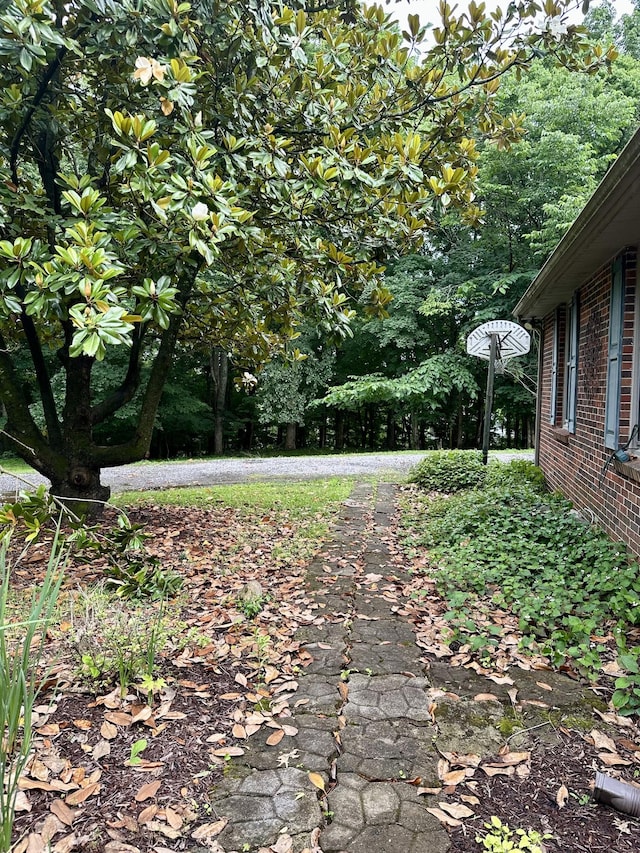 2311 Center Point Rd, Hendersonville, TN 37075 - view of yard