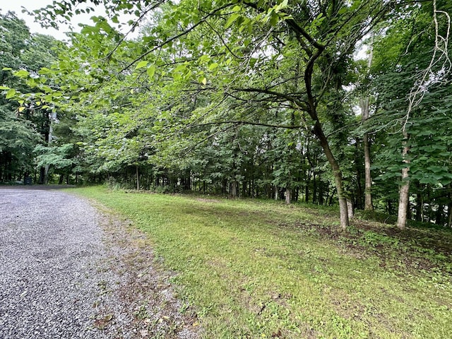 2311 Center Point Rd, Hendersonville, TN 37075 - view of road featuring a view of trees