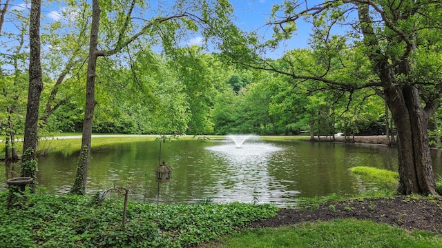 1708 Sugar Ridge Rd, Spring Hill, TN 37174 - water view featuring a forest