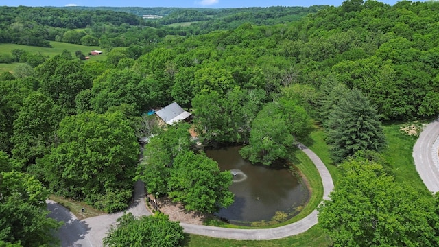 1708 Sugar Ridge Rd, Spring Hill, TN 37174 - aerial view of property and surrounding area featuring a forest and a large body of water