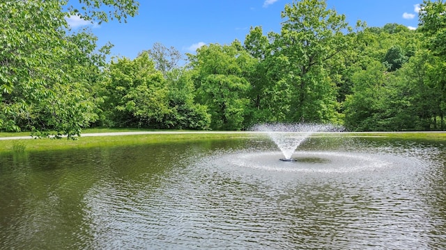 1708 Sugar Ridge Rd, Spring Hill, TN 37174 - water view