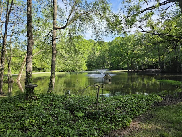 1708 Sugar Ridge Rd, Spring Hill, TN 37174 - water view with a forest