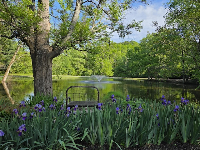 1708 Sugar Ridge Rd, Spring Hill, TN 37174 - view of yard featuring a water view and a forest view