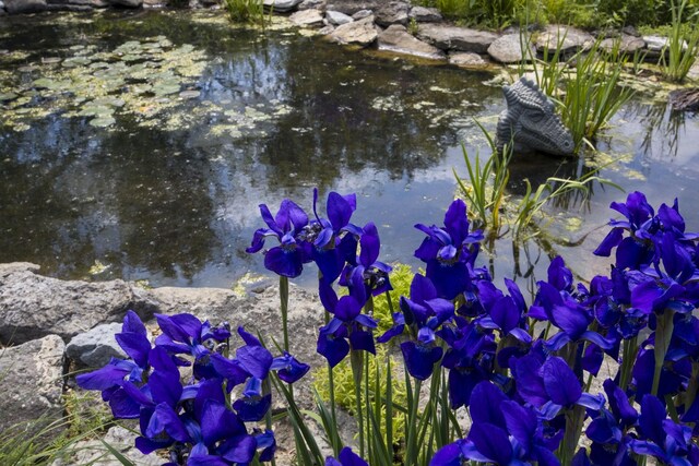 exterior details with a garden pond