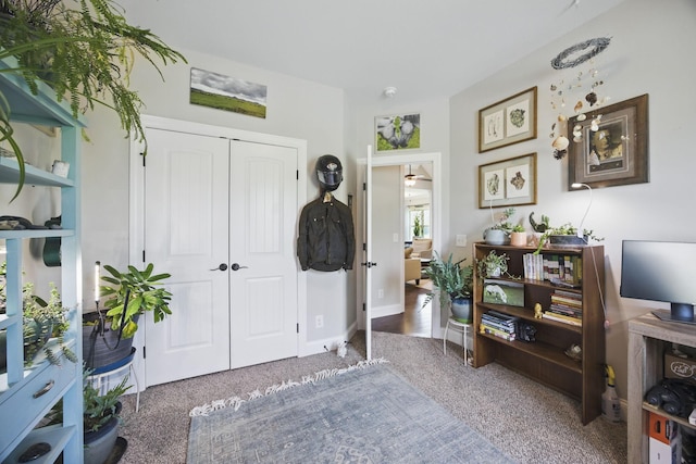 carpeted entryway with baseboards