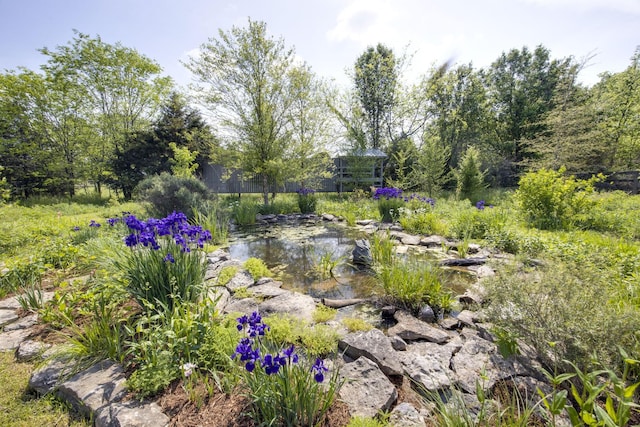 view of yard with a small pond