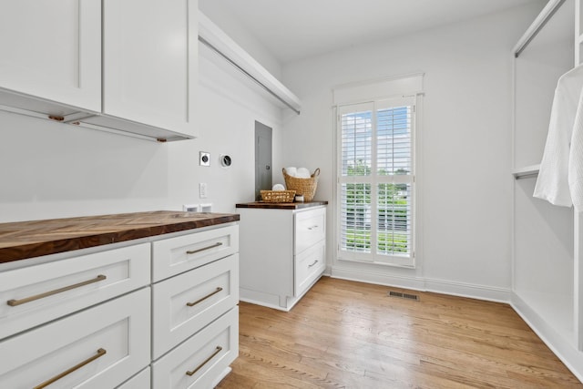 1207 Mullberry Ct, Murfreesboro, TN 37130 - walk in closet featuring light wood-style floors and visible vents