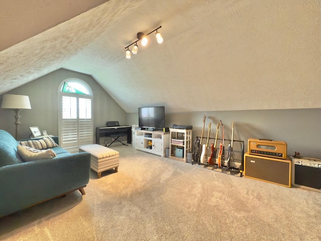 carpeted living area featuring lofted ceiling and a textured ceiling