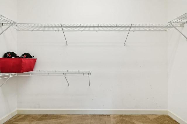 spacious closet with carpet