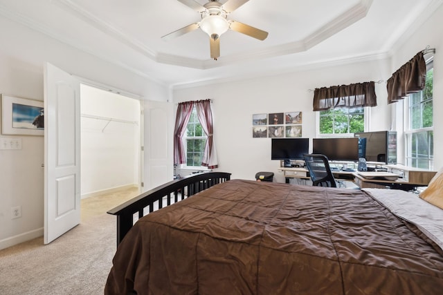 bedroom with crown molding, light carpet, a spacious closet, a ceiling fan, and a raised ceiling