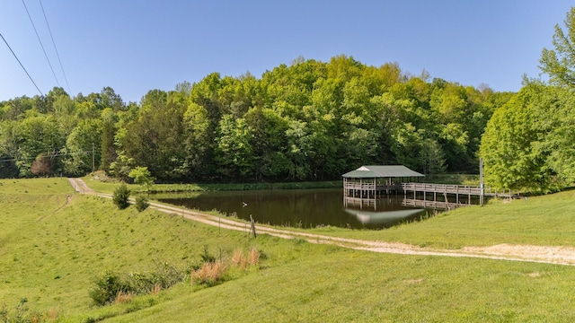 198 Robinson Hollow Rd, Waynesboro, TN 38485 - photo 6