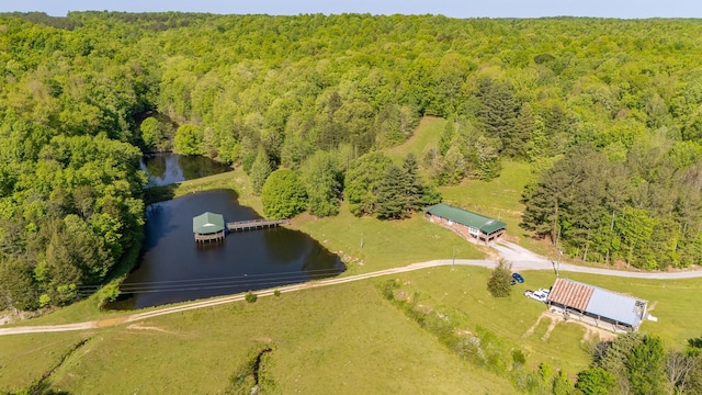 198 Robinson Hollow Rd, Waynesboro, TN 38485 - photo 4