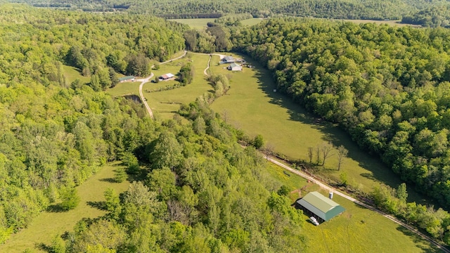 198 Robinson Hollow Rd, Waynesboro, TN 38485 - photo 69