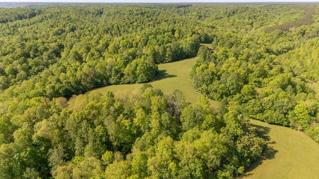 198 Robinson Hollow Rd, Waynesboro, TN 38485 - photo 73