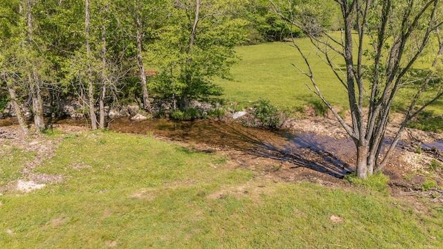 198 Robinson Hollow Rd, Waynesboro, TN 38485 - photo 82