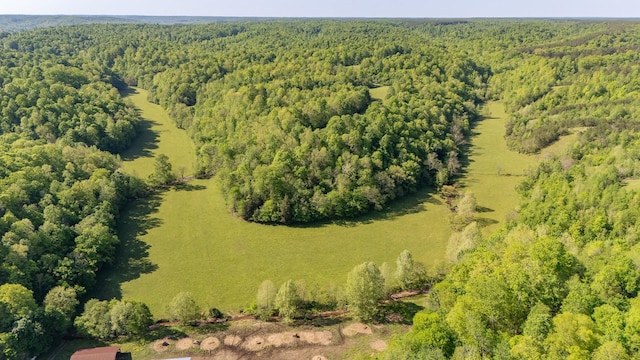 198 Robinson Hollow Rd, Waynesboro, TN 38485 - photo 74