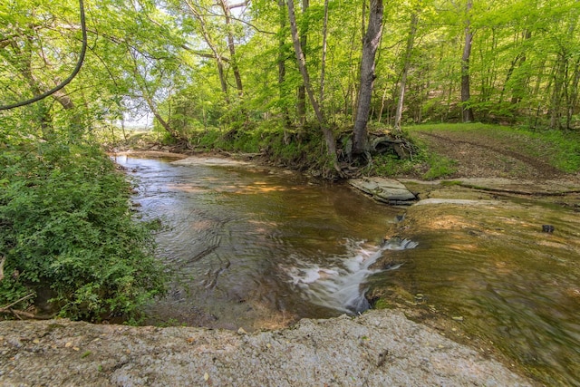 198 Robinson Hollow Rd, Waynesboro, TN 38485 - photo 84