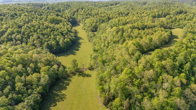 198 Robinson Hollow Rd, Waynesboro, TN 38485 - photo 75