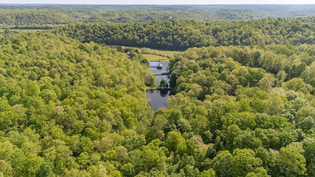198 Robinson Hollow Rd, Waynesboro, TN 38485 - photo 70