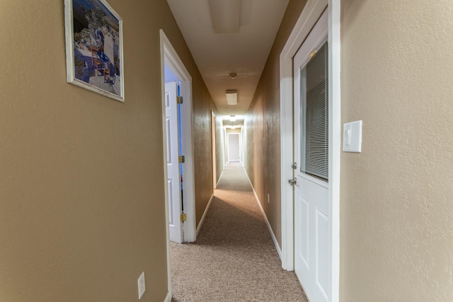198 Robinson Hollow Rd, Waynesboro, TN 38485 - photo 53