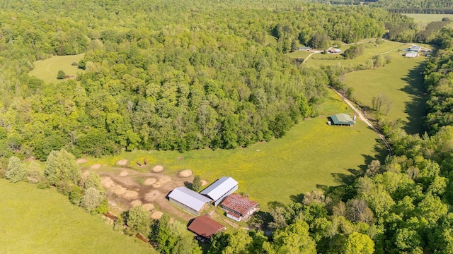 198 Robinson Hollow Rd, Waynesboro, TN 38485 - photo 71