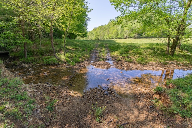 198 Robinson Hollow Rd, Waynesboro, TN 38485 - photo 87