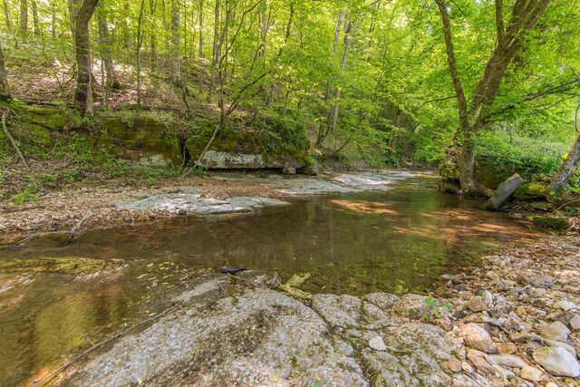 198 Robinson Hollow Rd, Waynesboro, TN 38485 - photo 86