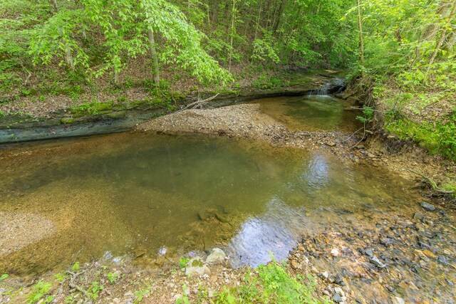 198 Robinson Hollow Rd, Waynesboro, TN 38485 - photo 85