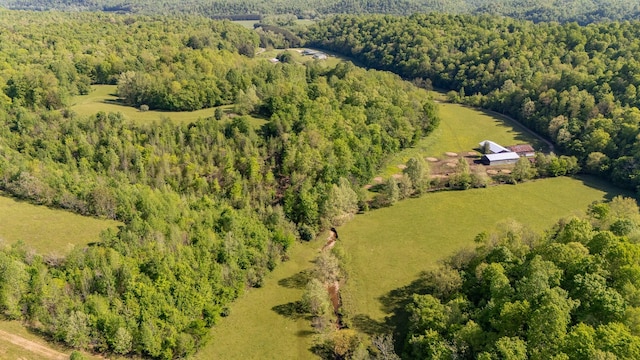 198 Robinson Hollow Rd, Waynesboro, TN 38485 - photo 76