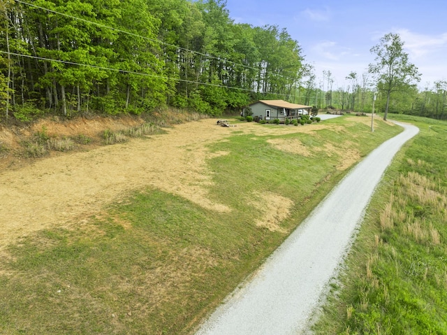 view of community featuring driveway