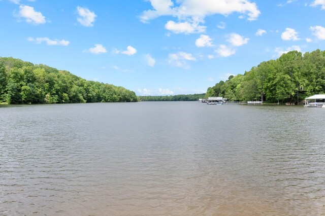 759 Bluff Dr, Winchester, TN 37398 - photo 57