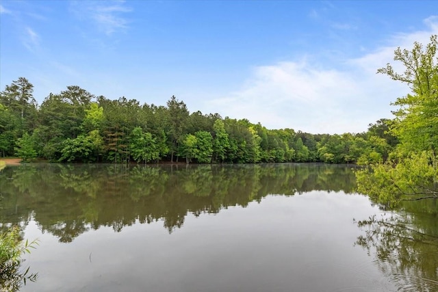view of water feature with a wooded view