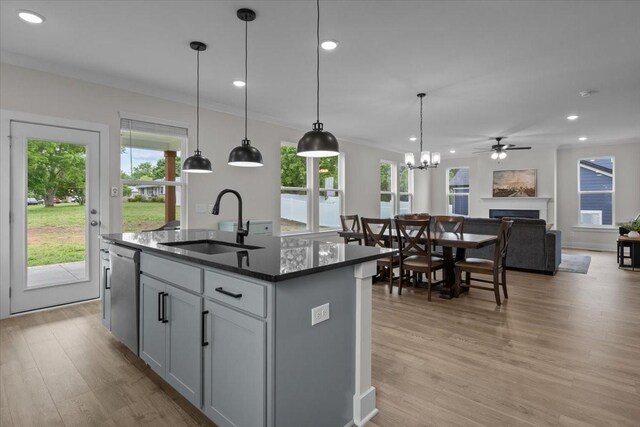 kitchen featuring light wood finished floors, dishwasher, a wealth of natural light, and a sink