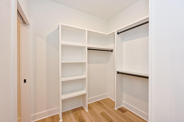 spacious closet featuring light wood-style floors