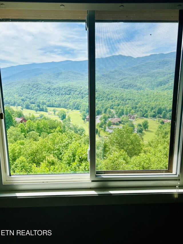 3710 Weber Rd Unit 304-A, Gatlinburg, TN 37738 - photo 7