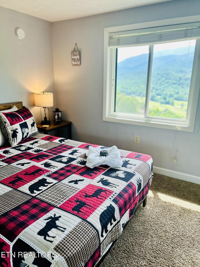 3710 Weber Rd Unit 304-A, Gatlinburg, TN 37738 - photo 5
