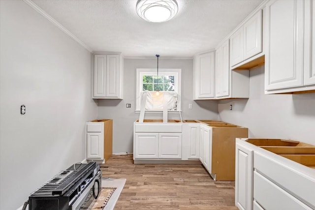 laundry area with light wood-type flooring and ornamental molding