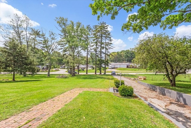 view of home's community with a lawn