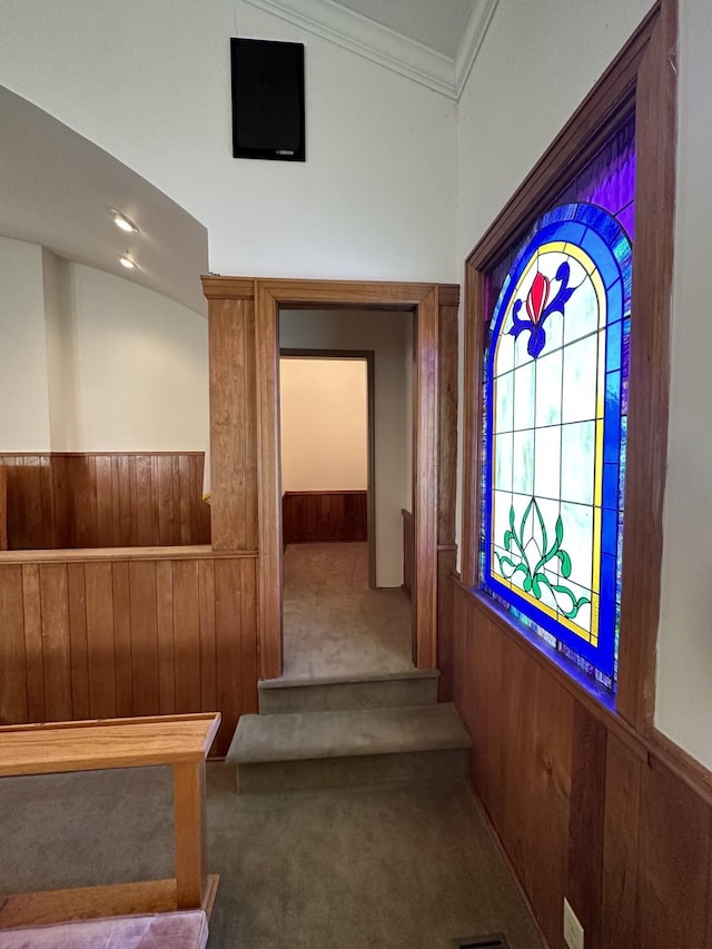 corridor featuring a wainscoted wall, wood walls, ornamental molding, and carpet floors