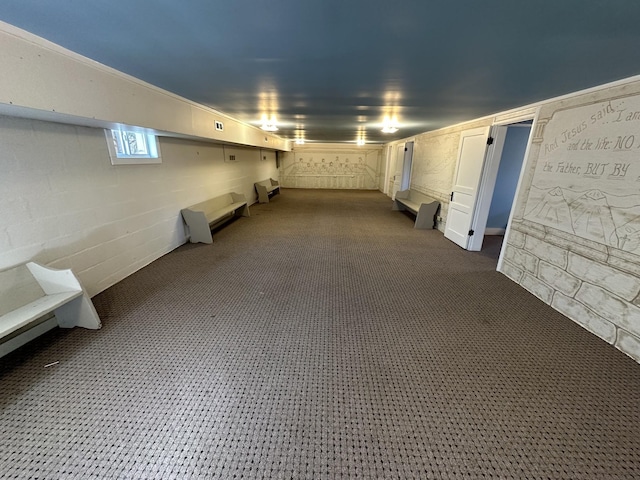 below grade area with dark colored carpet