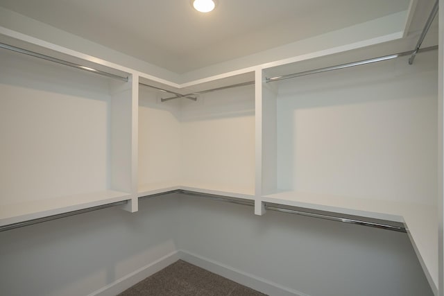 138 W Cassa Way, Mount Juliet, TN 37122 - spacious closet featuring carpet flooring