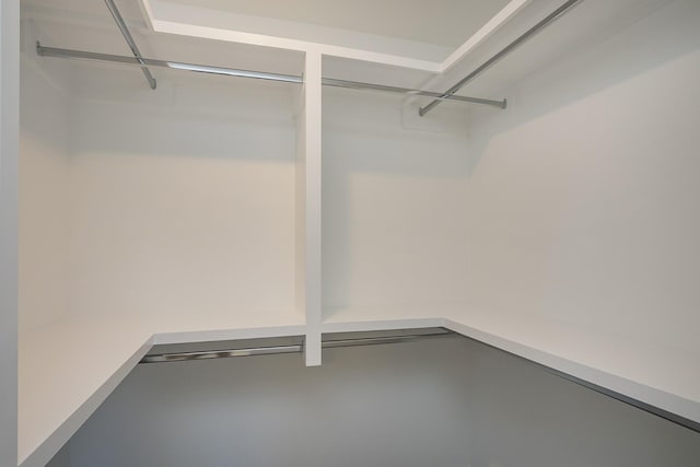138 W Cassa Way, Mount Juliet, TN 37122 - view of walk in closet
