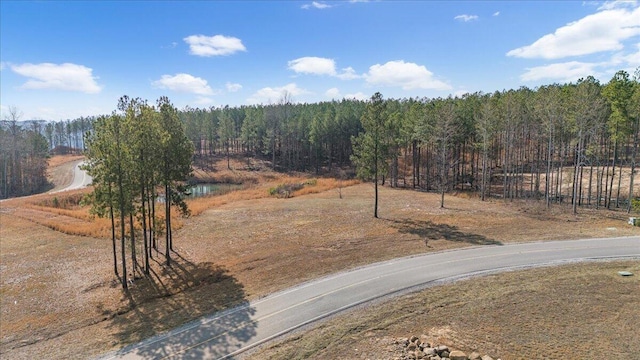 6675 Raulston Falls Rd, Jasper, TN 37347