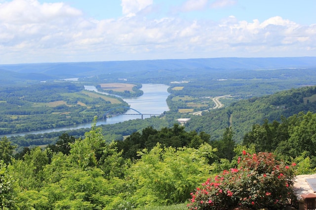 6675 Raulston Falls Rd, Jasper, TN 37347