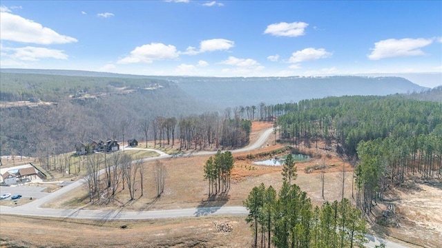 6675 Raulston Falls Rd, Jasper, TN 37347