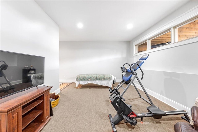 1520 Raulston Falls Rd, Jasper, TN 37347 - exercise area featuring carpet, baseboards, and recessed lighting