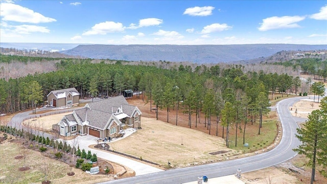 1520 Raulston Falls Rd, Jasper, TN 37347 - drone / aerial view with a mountain view and a forest view