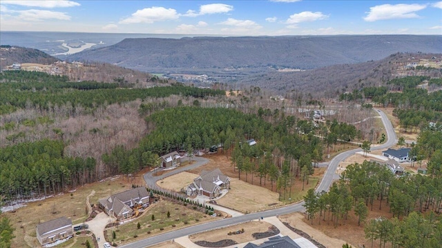 1520 Raulston Falls Rd, Jasper, TN 37347 - bird's eye view featuring a mountain view